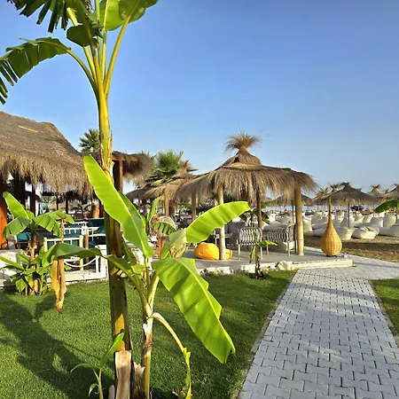 Sunny Penthouse - 216 *