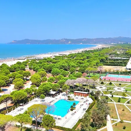 Sunny Penthouse - 216