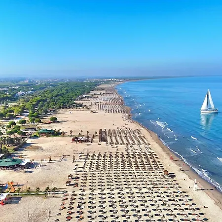 Sunny Penthouse - 216 * 드라치