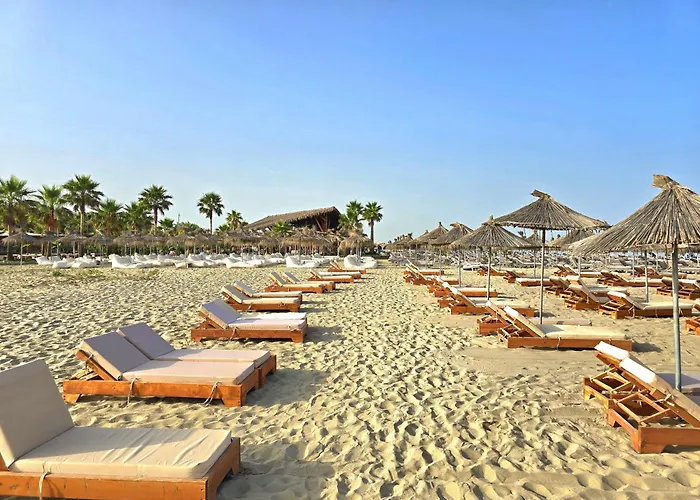 Sunny Penthouse - 216