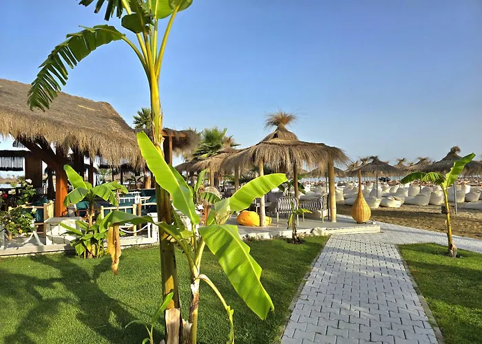 Sunny Penthouse - 216 *