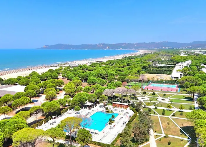 Sunny Penthouse - 216